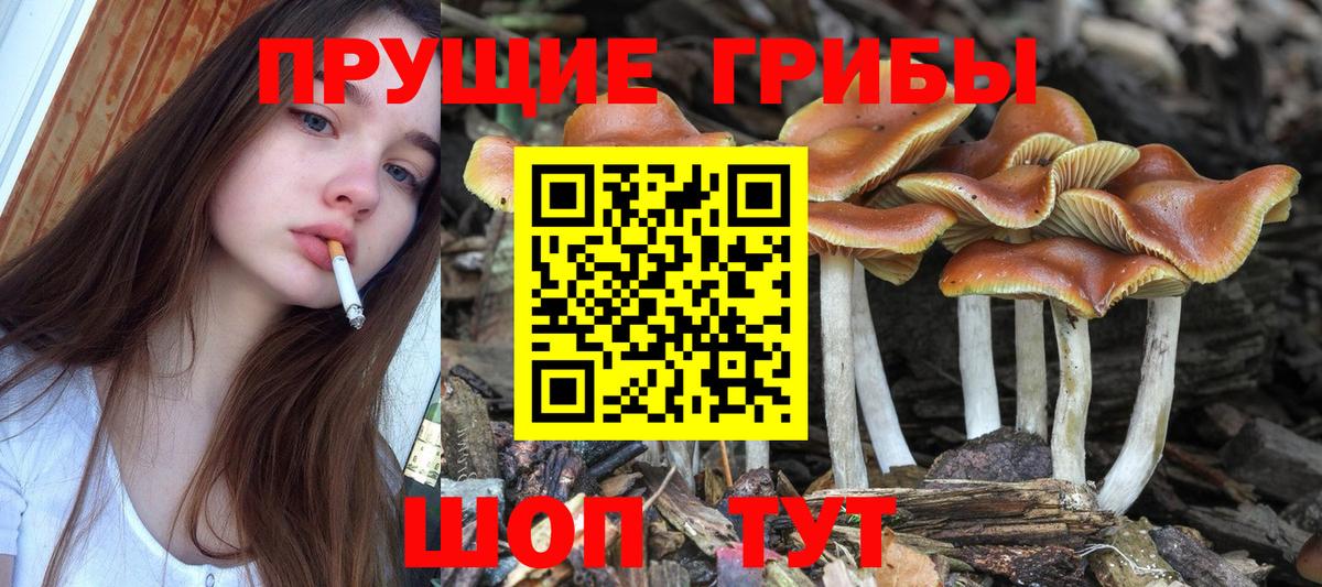 Корсаков  Псилоцибиновые грибы прущие грибы  Вход с VPN  Галлюциногенные грибы мухоморы 